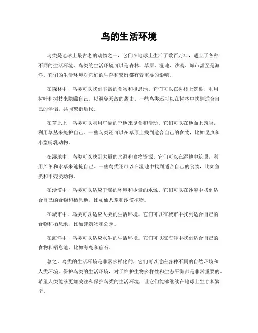 鸟的生活环境