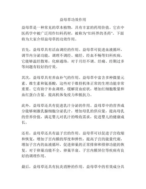 益母草功效作用