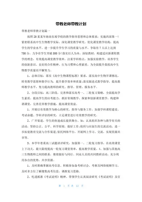 带教老师带教计划