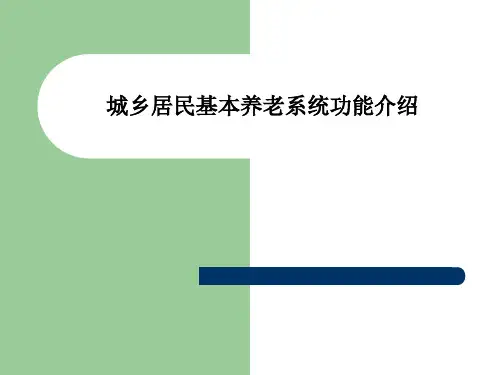 城乡居民基本养老系统问题及功能介绍