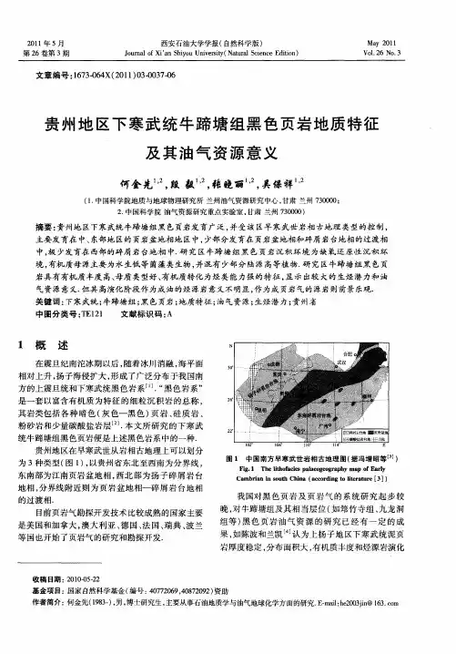 贵州地区下寒武统牛蹄塘组黑色页岩地质特征及其油气资源意义