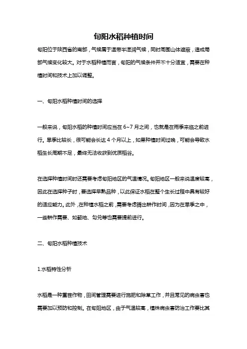旬阳水稻种植时间