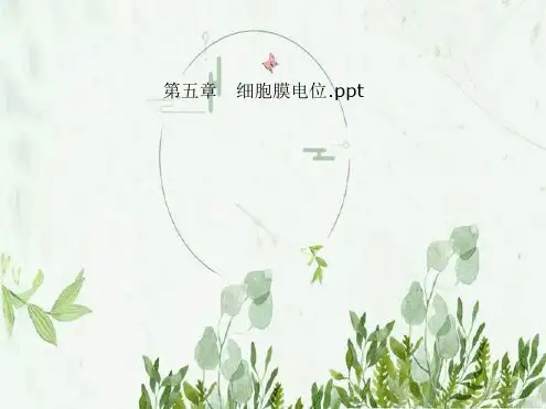 第五章  细胞膜电位