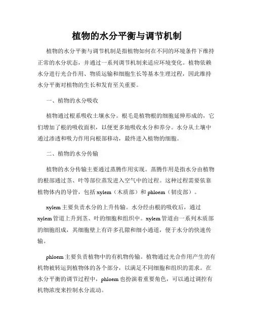 植物的水分平衡与调节机制