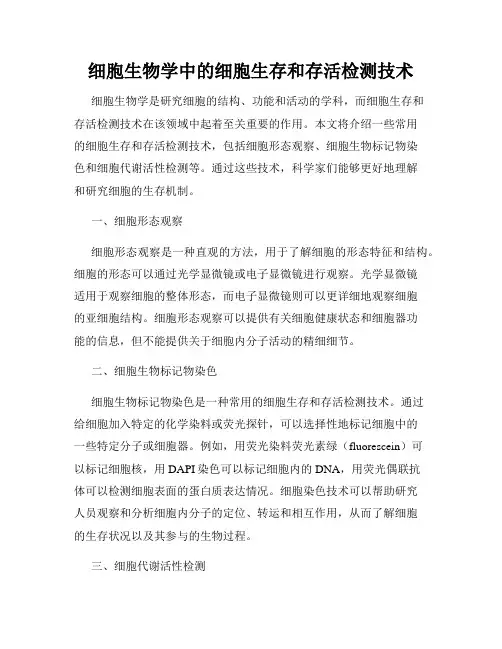 细胞生物学中的细胞生存和存活检测技术