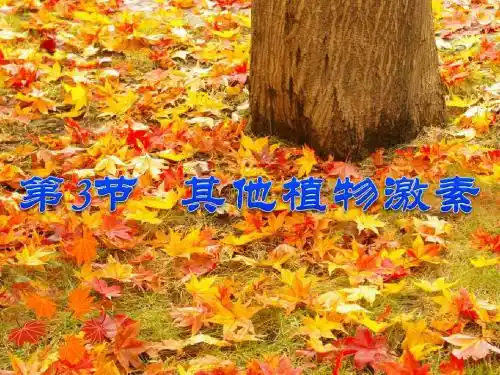 第三章 第3节 其他植物激素