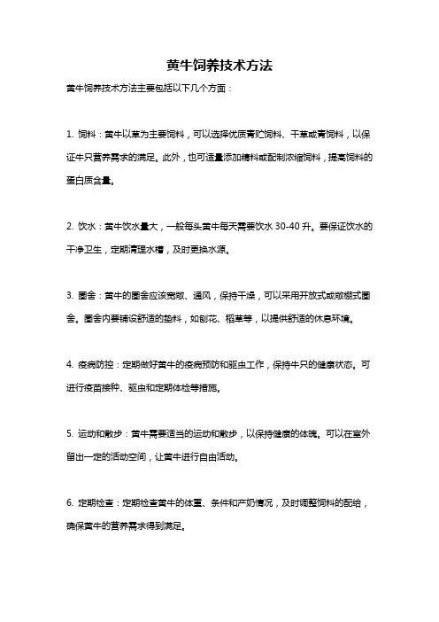 黄牛饲养技术方法