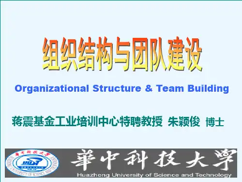 组织结构与团队建设PPT课件