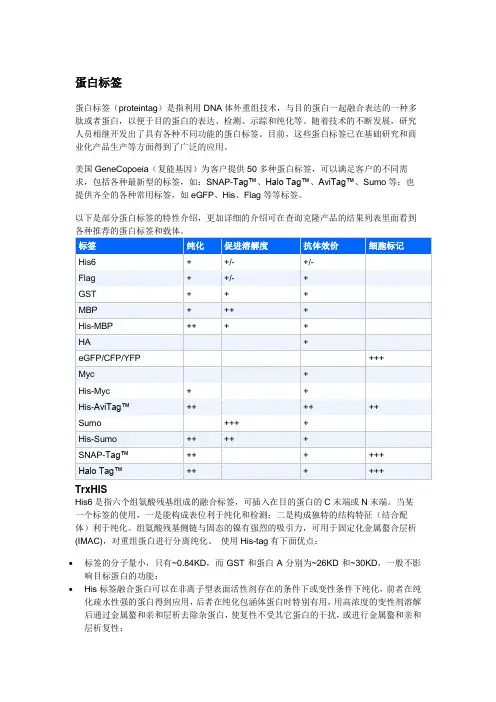 各种蛋白标签