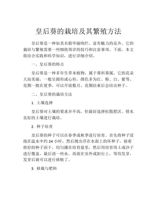 皇后葵的栽培及其繁殖方法