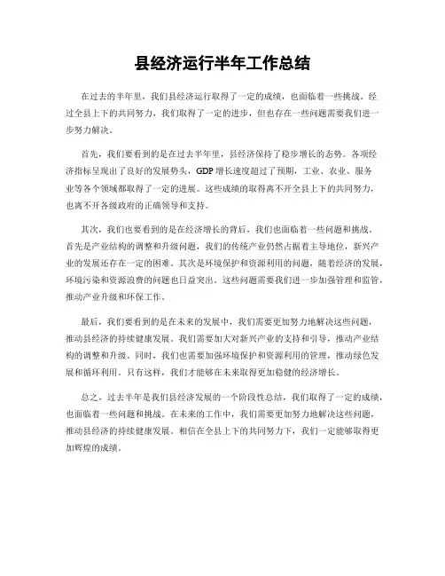 县经济运行半年工作总结