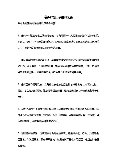 养乌龟正确的方法