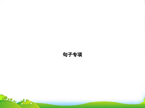 人教部编版五年级下册语文习题课件-句子专项(共12张PPT)