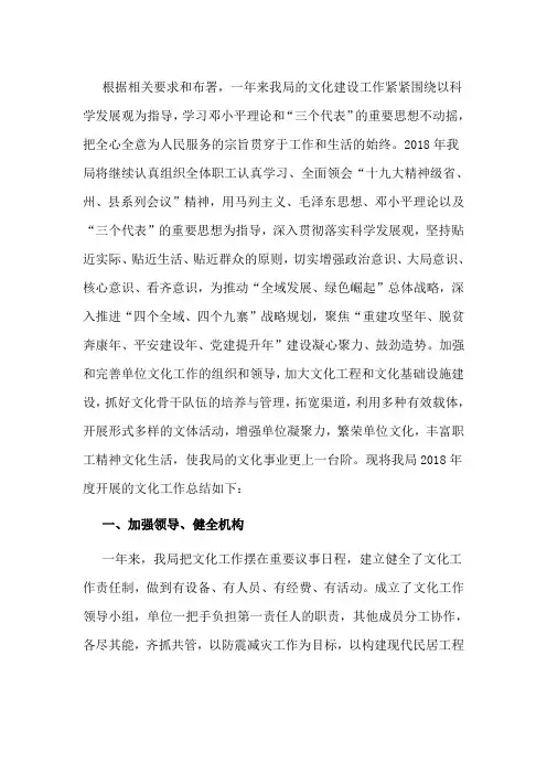 2018年文化年度工作总结