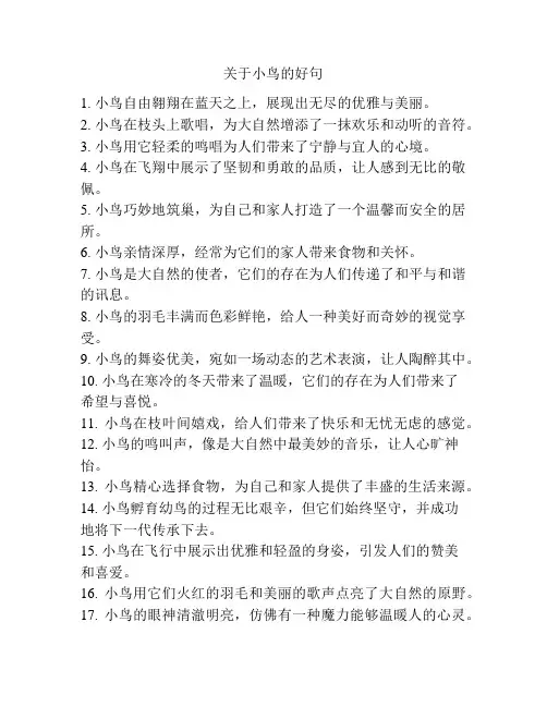 关于小鸟的好词好句
