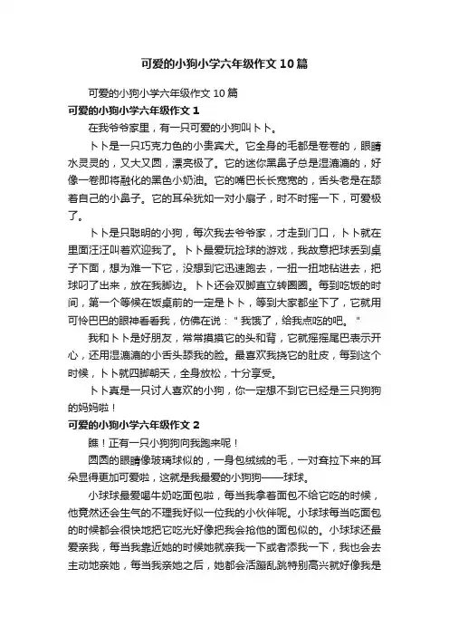 可爱的小狗小学六年级作文10篇