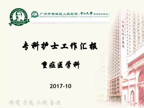 专科护士总结 PPT