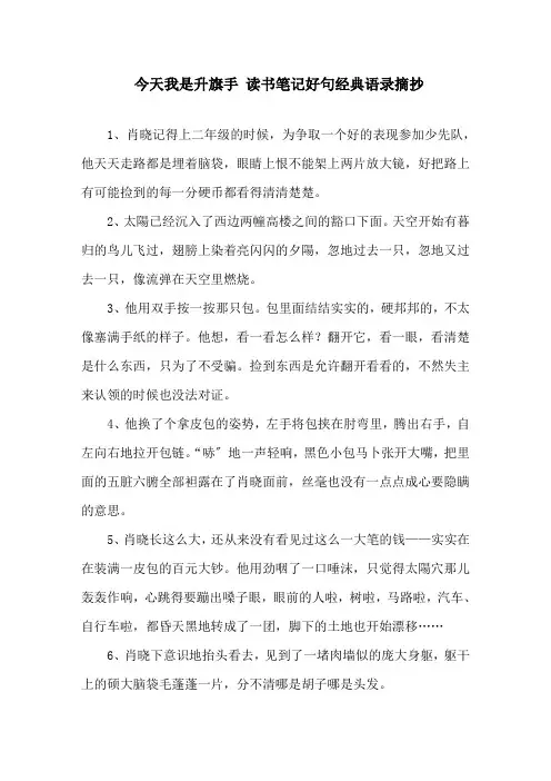 精选《今天我是升旗手》读书笔记好句经典语录摘抄