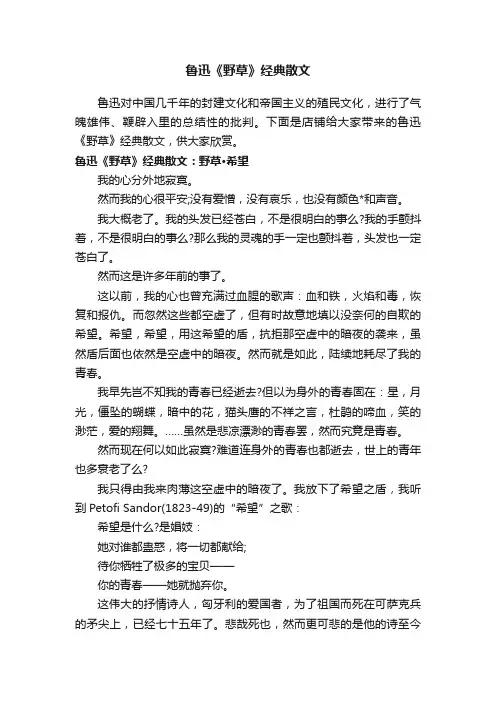 鲁迅《野草》经典散文