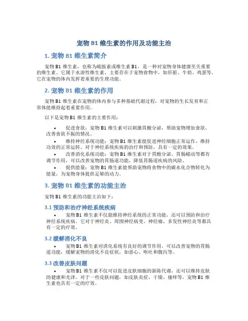 宠物b1维生素的作用及功能主治