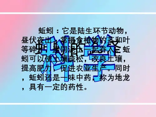 蚯蚓的选择-PPT课件