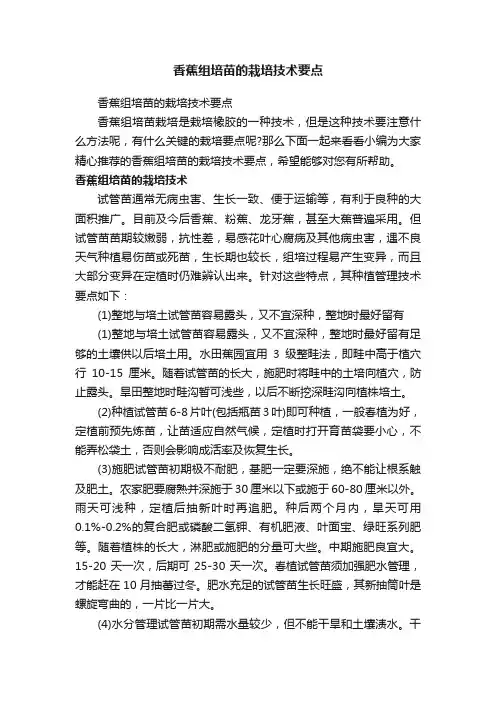 香蕉组培苗的栽培技术要点