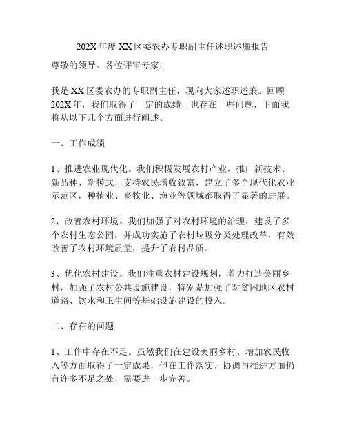 202X年度XX区委农办专职副主任述职述廉报告