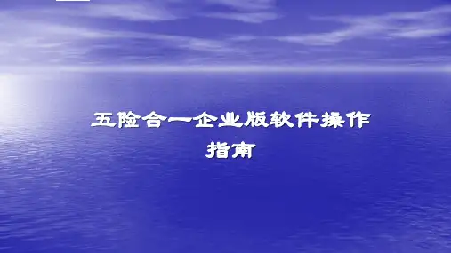 2017年五险一金操作指南ppt版本
