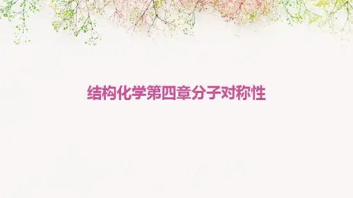 结构化学第四章分子对称性