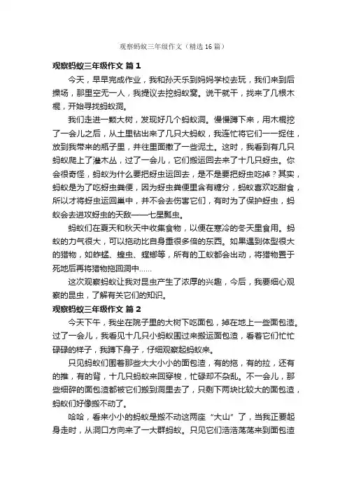 观察蚂蚁三年级作文（精选16篇）