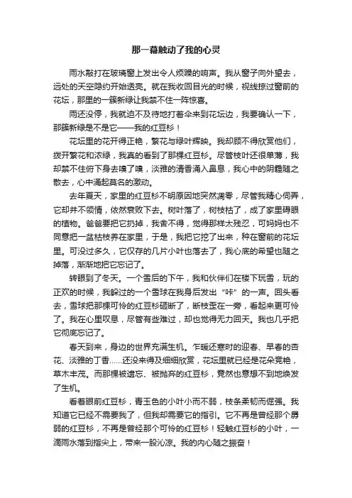 那一幕触动了我的心灵