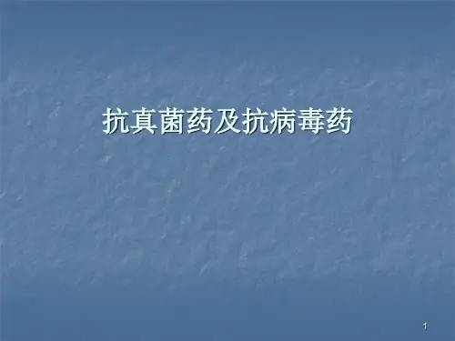 抗真菌药及抗病毒药ppt课件