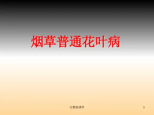 烟草普通花叶病ppt课件