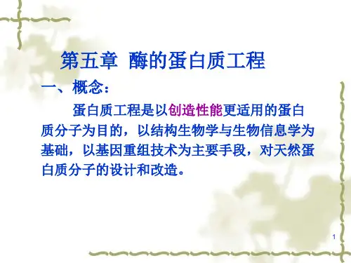 酶蛋白质工程PPT课件