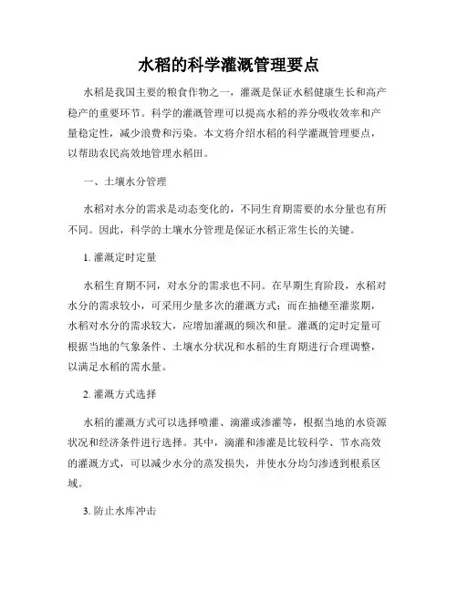 水稻的科学灌溉管理要点