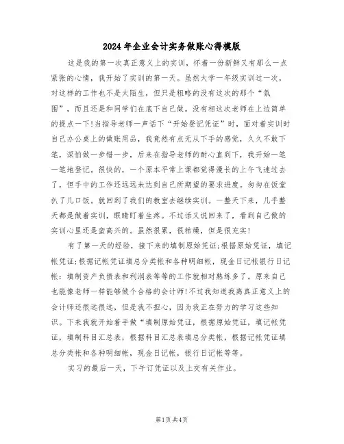 2024年企业会计实务做账心得模版(2篇)