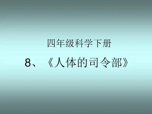 小学科学  《人体司令部》PPT课件