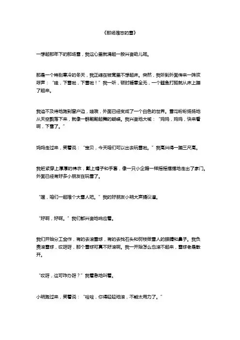 那年下的一场雪作文
