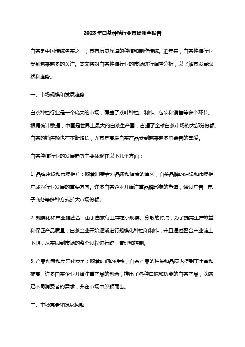 2023年白茶种植行业市场调查报告