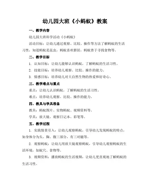 幼儿园大班《小蚂蚁》教案