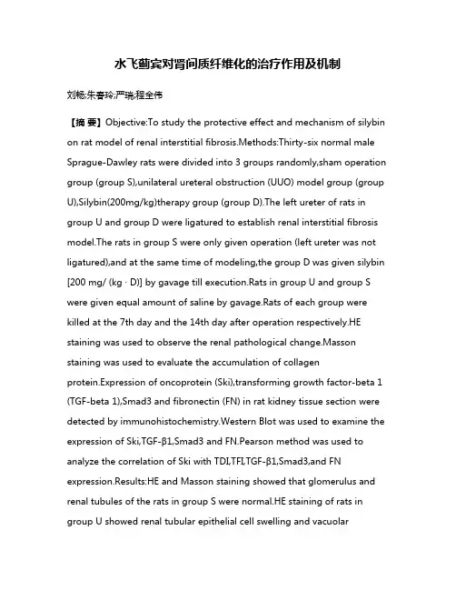 水飞蓟宾对肾间质纤维化的治疗作用及机制