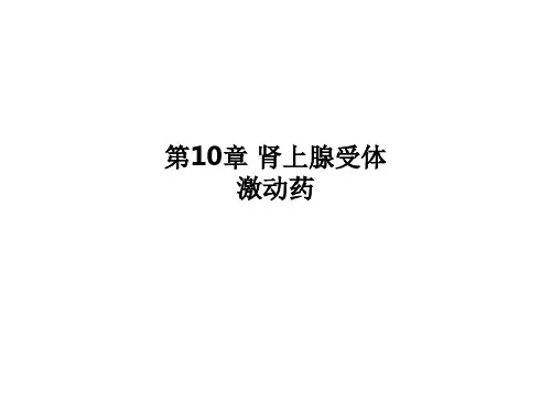 第10章 肾上腺受体激动药