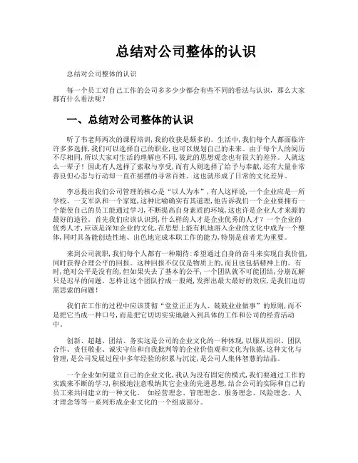 总结对公司整体的认识