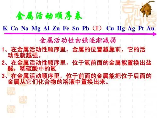 金属活动性顺序的应用