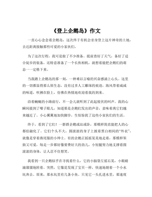 《登上企鹅岛》作文
