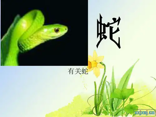 蛇ppt