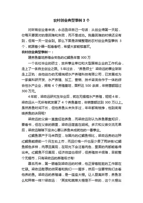 农村创业典型事例3个