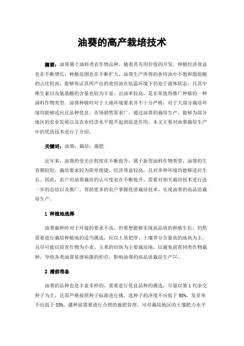 油葵的高产栽培技术