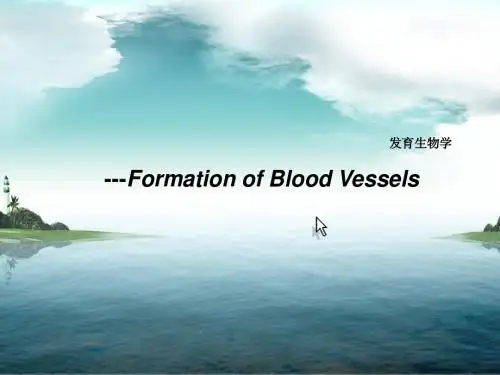 发育生物学