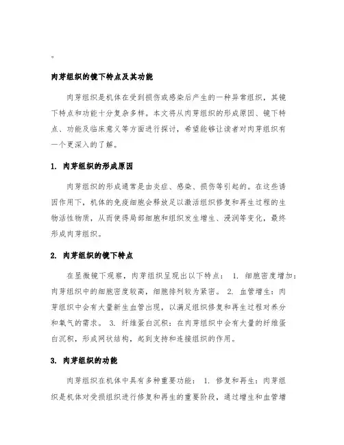 简述肉芽组织的镜下特点及其功能